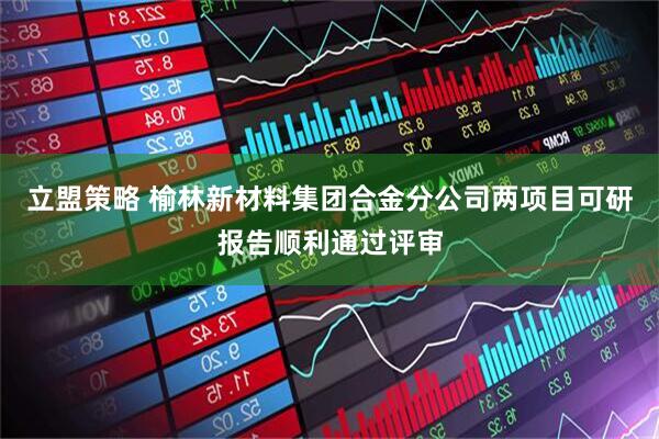 立盟策略 榆林新材料集团合金分公司两项目可研报告顺利通过评审