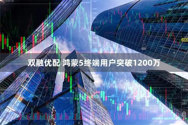 双融优配 鸿蒙5终端用户突破1200万