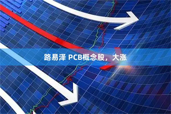 路易泽 PCB概念股,大涨